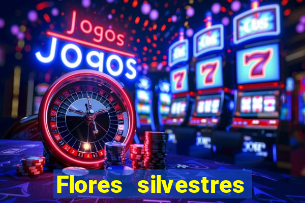 Flores silvestres brasileiras 25